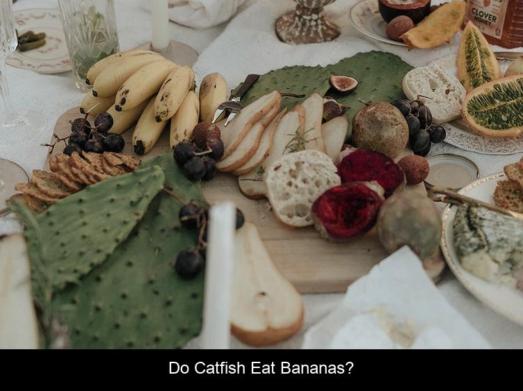 Do catfish eat bananas?