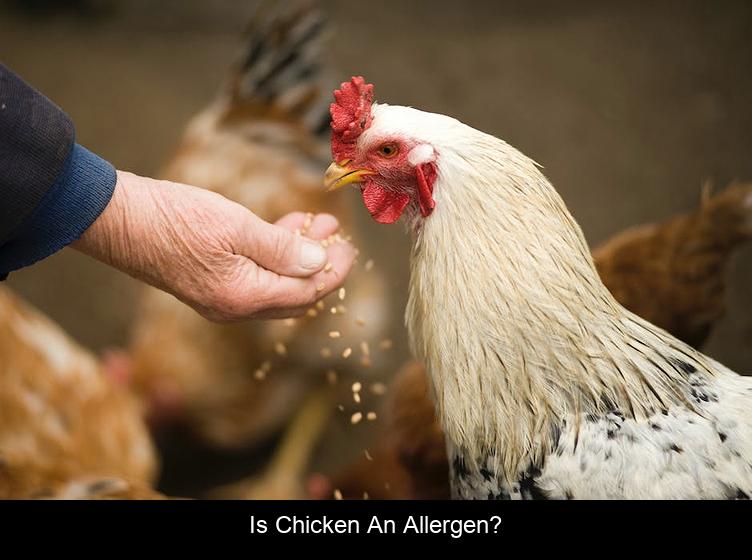 Is Chicken an allergen?