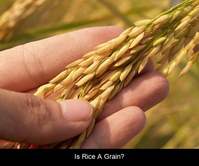 Is Rice a grain?