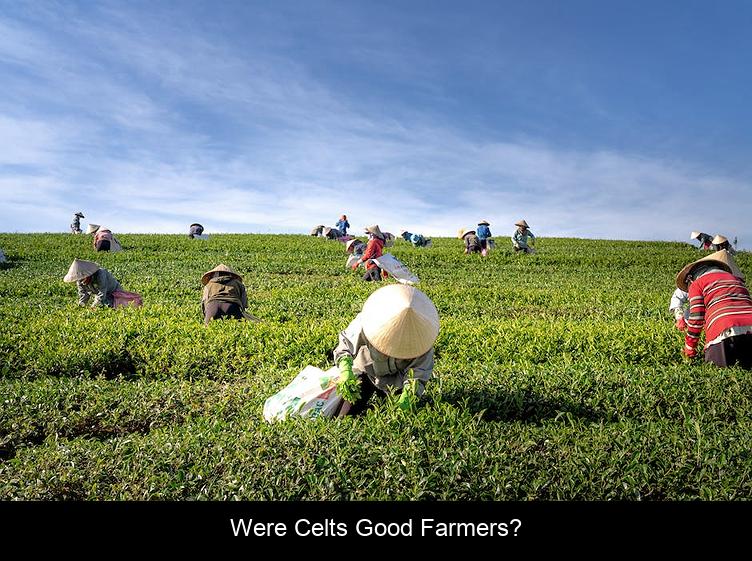 Were Celts good farmers?