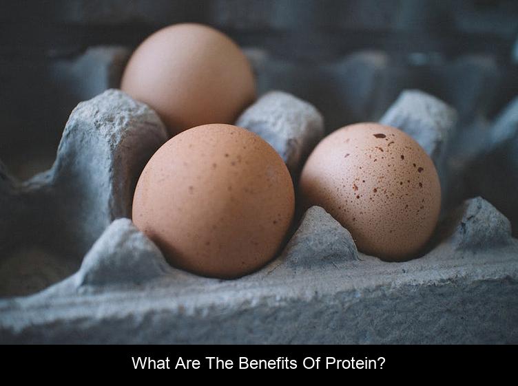 What Are the Benefits of Protein?