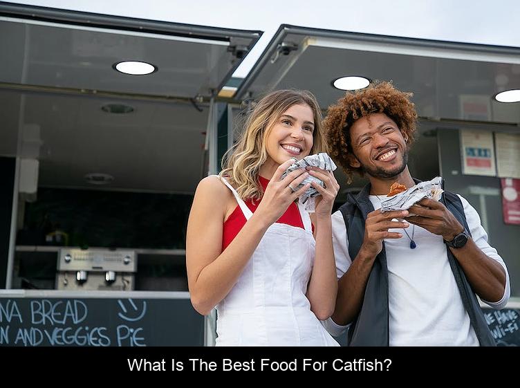 What is the best food for catfish?