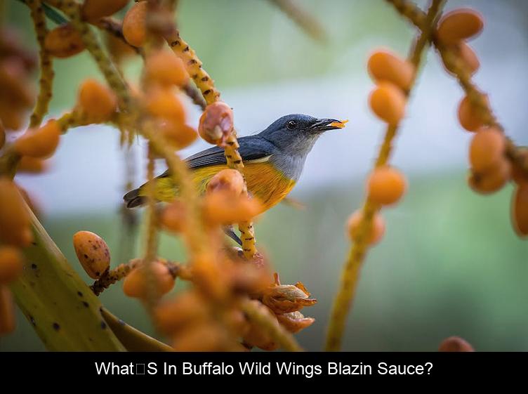 Whats in Buffalo Wild Wings Blazin sauce?