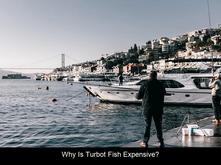 Why is turbot fish expensive?